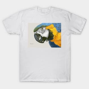 Blue and Gold Macaw Parrot T-Shirt